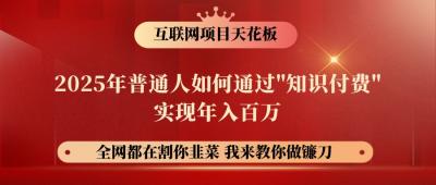 网创项目终点站-镰刀训练营超级IP合伙人,25年普通人如何通过“知识付费”年入百万