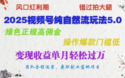 2025视频号纯自然流玩法5.0,绿色正规高佣金,操作爆款门槛低,变现收益单月轻松过万