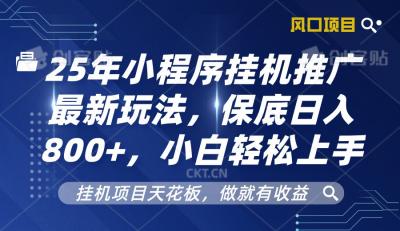 2025年小程序挂机推广最新玩法,保底日入800+,小白轻松上手