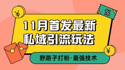 11月首发最新私域引流玩法,自动克隆爆款一键改写截流自热一体化 日引300+精准粉