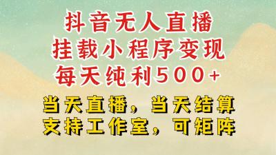 抖音无人挂机项目,轻松日入500+,挂载小程序玩法,不违规不封号,有号的一定挂起来