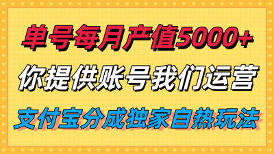 单月产值5000+,支付宝分成代运营,你提供账号坐等分钱,我们帮你运营