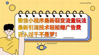 微信小程序最新裂变流量玩法,时间自由收益高轻松赚广告费,日入过千不是梦!