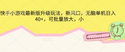 快手小游戏最新版升级玩法，新风口，无脑单机日入40+，可批量放大