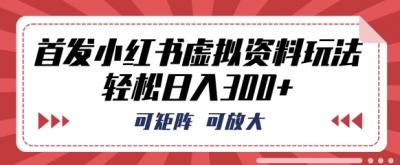 首发小红书虚拟资料玩法,可矩阵,可放大,轻松日入3张