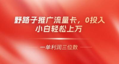 0门槛推广流量卡，一单收益上百，0投入，小白月入过W