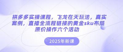 拼多多实操课程,飞龙在天玩法,真实案例,直播全流程链接的黄金sku布局原价操作六个活动