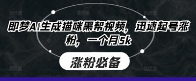 即梦AI生成猫咪黑帮视频，迅速起号涨粉，一个月5k