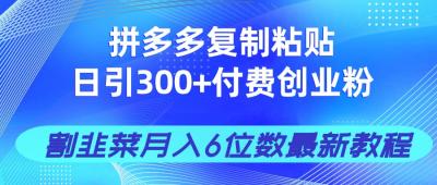 (14232期)拼多多复制粘贴日引300+付费创业粉,割韭菜月入6位数最新教程!