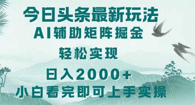 （14255期）今日头条2025最新玩法，思路简单，复制粘贴，轻松实现矩阵日入2000+