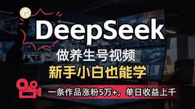 （14199期）小白用DeepSeek做养生号，一条作品涨粉5万+，单日收益上千