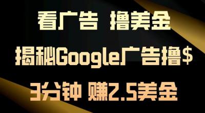 看广告,撸美金!3分钟赚2.5美金!日入200美金不是梦!揭秘Google广告&8230;