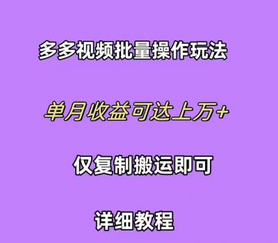 (10029期)拼多多视频带货快速过爆款选品教程 每天轻轻松松赚取三位数佣金 小白必...