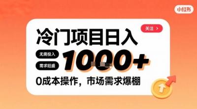 在小红书上发现个冷门路子，需求不小，零成本操作，每天能有1k进账