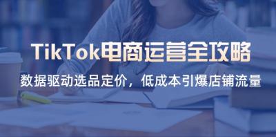 TikTok电商运营全攻略,数据驱动选品定价,低成本引爆店铺流量