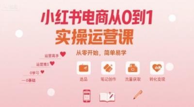 小红书电商从0到1实操运营课,从零开始,简单易学