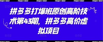 拼多多打爆班原创高阶技术第43期，拼多多高价虚拟项目