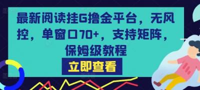最新阅读挂G撸金平台,无风控,单窗口70+,支持矩阵,保姆级教程【揭秘】