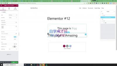 黑方老师·谷歌B端独立站建站推广