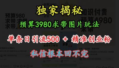 预算3980求带 图片玩法，单条日引流500+精准创业粉，私信根本回不完