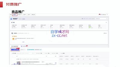 大力老师·2024拼多多运营策略蜕变3.0