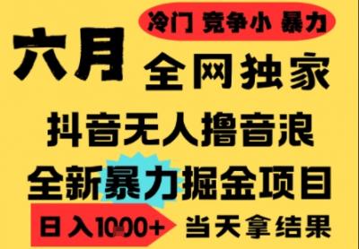 25年6月高爆抖音无人直播最新撸音浪掘金项目,小白可做,无脑日入1k+,门槛低可批量矩阵【揭秘】