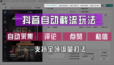 抖音自动截流玩法,利用一个软件自动采集、评论、点赞、私信,全域引流