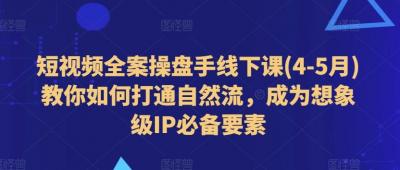 短视频全案操盘手线下课(4-5月)教你如何打通自然流,成为想象级IP必备要素