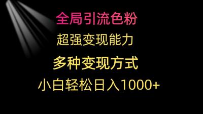 (9680期)全局引流色粉 超强变现能力 多种变现方式 小白轻松日入1000+