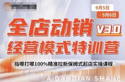 全店动销经营模式特训营,指哪打哪100%精准拉新保姆式起店实操课程