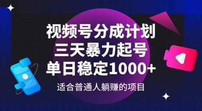 视频号分成计划,三天暴力起号玩法 单日稳定1000+