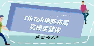 TikTok电商布局实操运营课:从新手到精通,成为TikTok带货运营高手