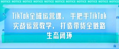 TikTok全域运营课,手把手TikTok实战运营教学,打造带货全链路生态闭环