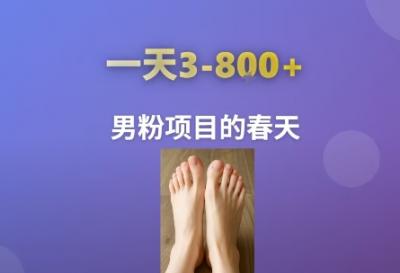 AI一键生成美女素材，一天收益3-8张，男粉项目的春天