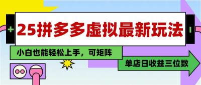 25最新拼多多虚拟电商，单店日入3位数，小白也能快速上手，教程.