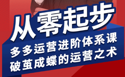 海神·拼多多运营进阶系统课(更新8月)