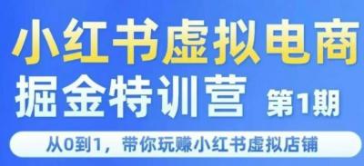 小红书虚拟电商掘金特训营第1期,从0到1,带你玩转小红书虚拟店铺