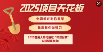 2025项目天花板普通人如何通过知识付费,实现财F自由【揭秘】