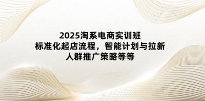 2025淘系电商实训班:标准化起店流程,智能计划与拉新,人群推广策略等等