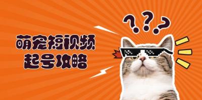 萌宠-短视频起号攻略:定位搭建推流全解析,助力新手轻松打造爆款