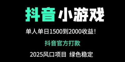抖音官方小游戏2025全网最新玩法，暴利赚钱项目，单机日入2000+