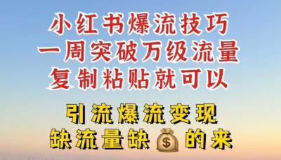 小红书爆流技巧，一周突破万级流量，复制粘贴就可以，引流爆流变现【揭秘】