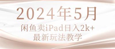 2024年5月闲鱼卖ipad日入2k,最新玩法教学