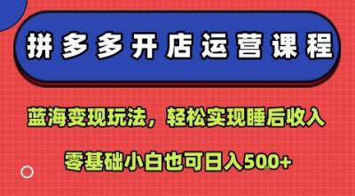 拼多多开店运营课程：蓝海变现玩法，轻松实现睡后收入，零基础小白也可日入5张