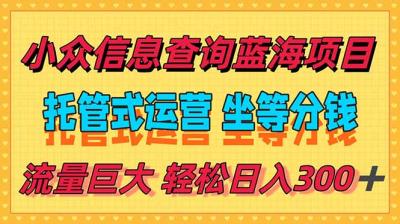 稳定日入300＋，小众信息查询蓝海项目，全程懒人式托管，解放你的时间