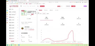 2025小红书虚拟电商实战课