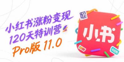 小红书涨粉变现120天特训营Pro版11.0:从0到1掌握平台运营,内容制作和变现