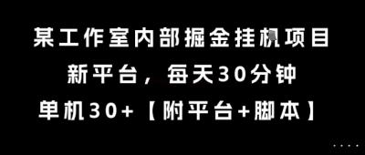某工作室内部掘金挂G项目,新平台,每天30分钟,单机30+【揭秘】