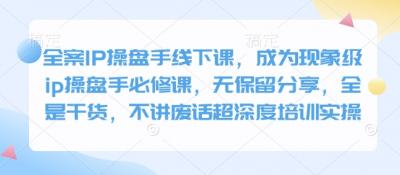 全案IP操盘手线下课,成为现象级ip操盘手必修课,无保留分享,全是干货,不讲废话超深度培训实操