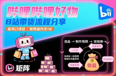 哔哩哔哩好物,B站带货流程分享,新风口项目,矩阵操作月1W